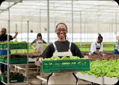 cheerful female farm worker holding a crate full of ripe leafy greens from sustainable crop harvest